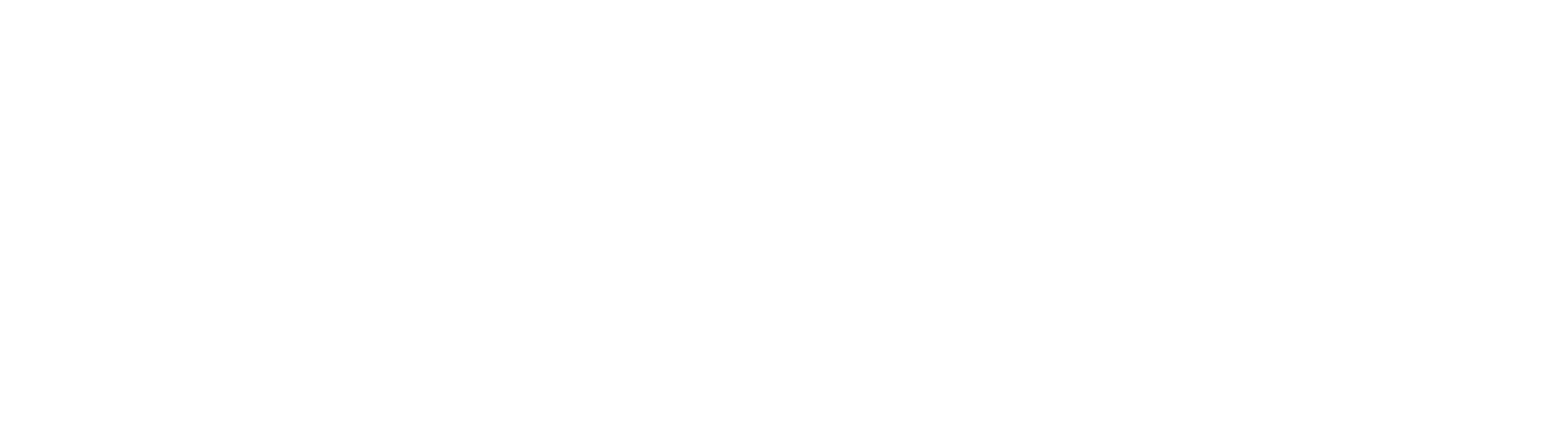 19th-News-white-logo