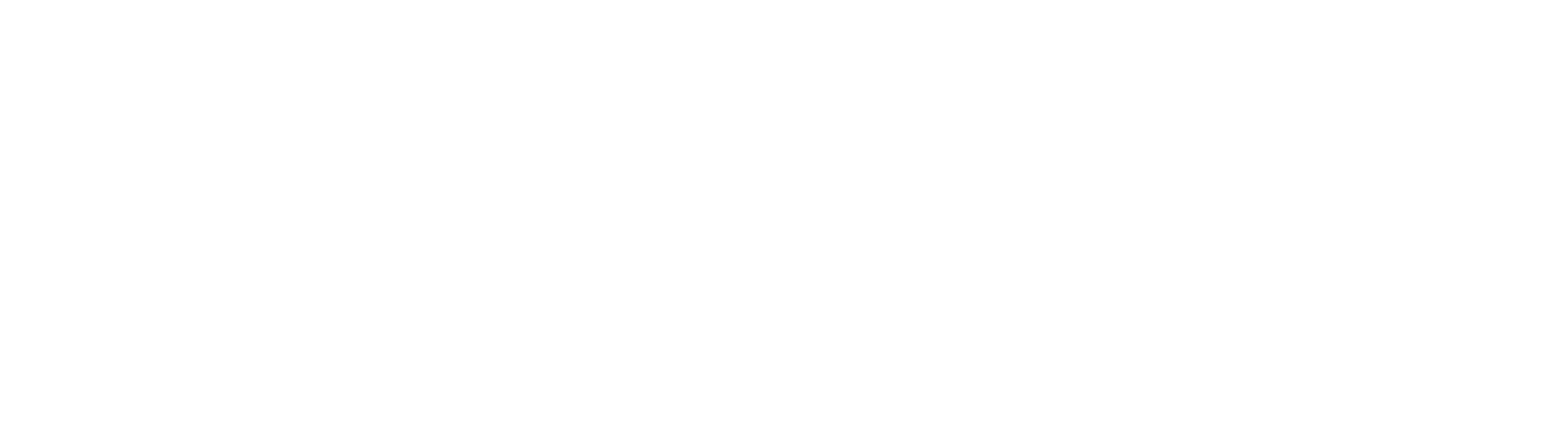White-CNN-logo